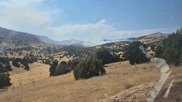 Isparta Yalvaç'ta ardıç ormanında yangın 6 saatte söndürüldü