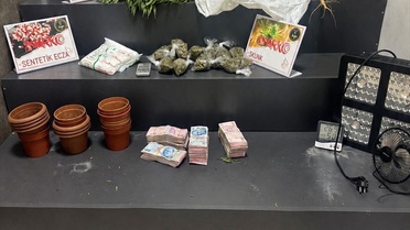 İzmir Konak'ta evinde Hint keneviri yetiştiren şüpheli tutuklandı