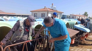 Karapınar'da ari işletmelerde tüberküloz tarama ve test çalışmaları sürüyor