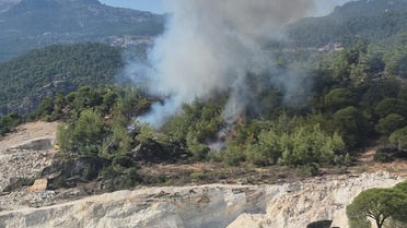 Milas Kayabükü'nde orman yangınına havadan ve karadan müdahale sürüyor