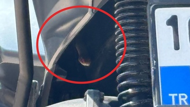 İnegöl'de motosiklete saklanan yılan itfaiyeyle korkulu anlar yaşattı, doğaya salındı