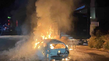 Kastamonu Tosya'da otomobil ile hayvan yüklü tır çarpıştı; 4 büyükbaş telef oldu