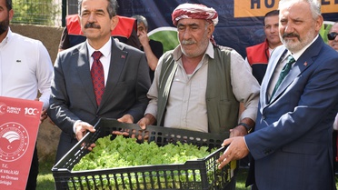 Şırnak'ta 17 üreticiye 152 bin 784 hibe destekli kışlık sebze fidesi dağıtıldı
