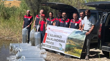 Tunceli Pertek'teki göletlere 450 bin yavru sazan bırakıldı