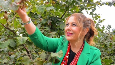Elvan Işık Gezmiş: Fındık fiyatındaki düşüş kabul edilemez, devlet üreticiyi korumalı