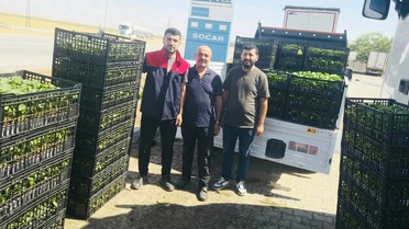 Şırnak Cizre'de çiftçilere yüzde 75 hibeli sebze fidesi dağıtıldı