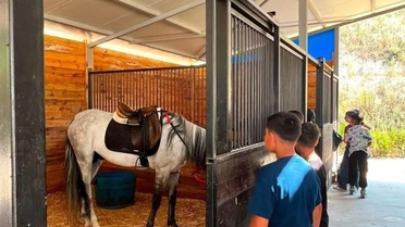 Bilecik'te koruma altındaki çocuklar binicilik sporuyla tanıştı