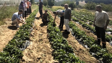 Kocaeli'de kadın ve genç üreticiler kooperatifte buluştu, Dağköy'de doğal üretim büyüyor
