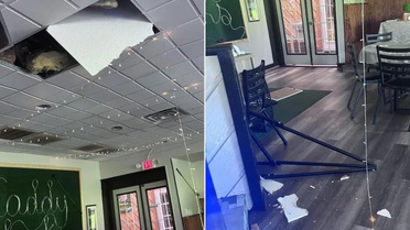 Hırsız sandılar, kamerayı izleyince şoke oldular: Meğer restoranı...