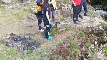 Tokat Niksar'da koyun otlatan iki kardeş kayboldu; arama başlatıldı