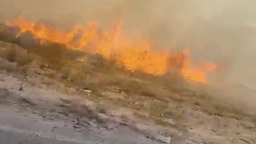 Kapaklı'da otluk alanda çıkan yangın itfaiyenin müdahalesiyle söndürüldü