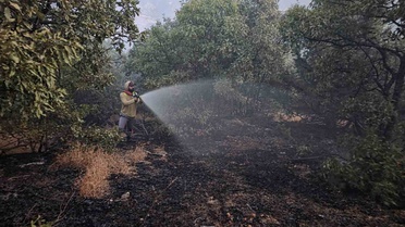 Bingöl Genç'teki orman yangını ekiplerin müdahalesiyle söndürüldü