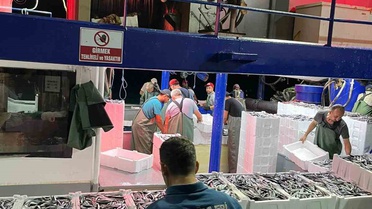 Didim'de hamsi kotası denetimlerinde balıkçı tekneleri tek tek kontrol edildi