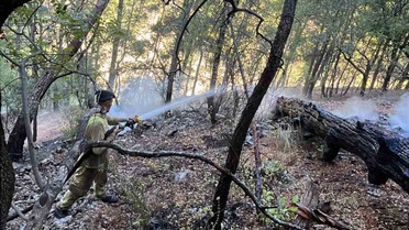 Muğla Dalaman'da yıldırımın tetiklediği orman yangını sabaha karşı kontrol altına alındı