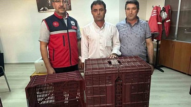 Aydın Köşk'te incir üreticilerine hasat ve muhafaza için plastik kasa dağıtıldı