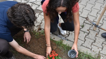 Gençler Uzungöl'de Sürdürülebilir Gelecek İçin Buluştu
