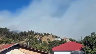 Adana'daki 3 farklı bölgede yangınların enerjisi düşürüldü, söndürme çalışmaları sürüyor