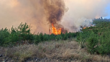 Adana Feke'de orman yangınına havadan ve karadan müdahale sürüyor