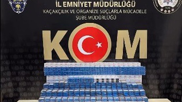Bilecik'te polisin tırdaki aramasında bin 210 paket kaçak sigara yakalandı, 1 gözaltı