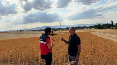 Çavdarhisar'da yüzde 75 hibeli aspir hasadı tamamlandı
