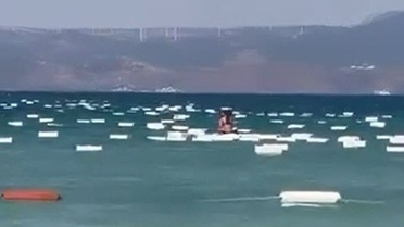 Çeşme Paşalimanı sahilinde denizden gelen köpük kutular kıyıya vurdu, kirlilik yarattı