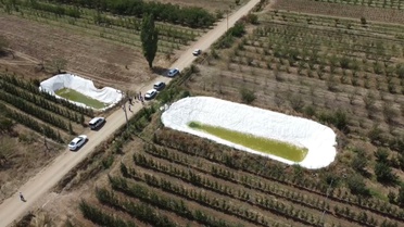 Isparta Eğirdir'de kuraklık elma bahçelerini vurdu, üretici tankerle su taşıyor