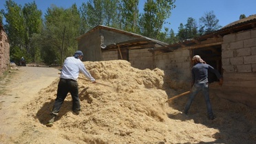 Erzincan Tercan'da çiftçiler kışlık saman balyalarını çadırlarla koruyor