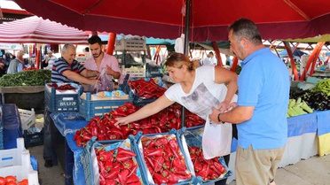 Erzincan'da kış hazırlığı için salçalık domates ve kapya biber tezgahlarda yerini aldı