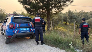 Osmaniye Düziçi'nde kaybolan Ayşegül Yaşar için arama çalışmaları sürüyor