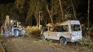 Samsun Alaçam'da rüzgarda devrilen ağaç park halindeki minibüste hasar oluşturdu