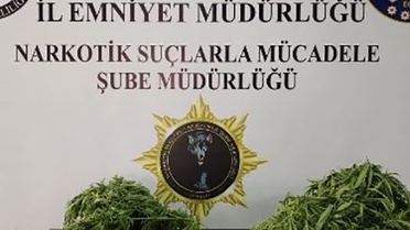 Samsun'da polisin uyuşturucu operasyonunda 5 şüpheli yakalandı