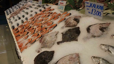 Balık sezonu bol başladı; tezgahlarda palamut ve hamsi 150 TL'ye satılıyor