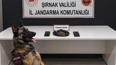Şırnak'ta kaçakçılık operasyonlarında 196 şüpheli hakkında adli işlem yapıldı