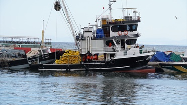 Tekirdağ'da saatte 40 kilometreye ulaşan poyraz deniz ulaşımını durdurdu