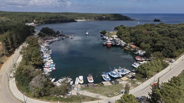 Sinop'un yüzde 70'i orman, havası 'iyi derecede temiz' olarak ölçüldü