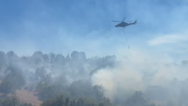 Bolu Kıbrıscık'ta otluk alandan ormana sıçrayan yangına havadan ve karadan müdahale ediliyor