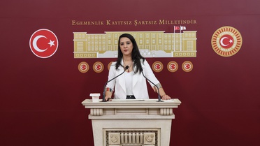 EMEP'li Karaca, 335 STK'nın karma eğitim karşıtı kampanyasını TBMM gündemine taşıdı