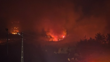 Adana Kozan'da orman yangınına müdahale sürüyor, hava araçları sabah yeniden çalışacak