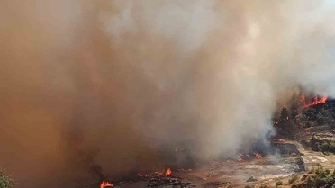 Antalya Kumluca'da çıkan ağaçlık alan yangını Güzeren Mahallesi'ne doğru ilerliyor