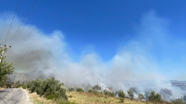 Manavgat'ta zirai alandaki yangında 5 dönüm arazi ile zeytinlik zarar gördü