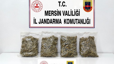 Mersin Toroslar'da uyuşturucu baskını, 2 kilo esrar, 2 gözaltı
