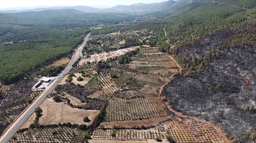 Muğla Menteşe ve Ula'da orman yangınında zarar gören alan havadan görüntülendi