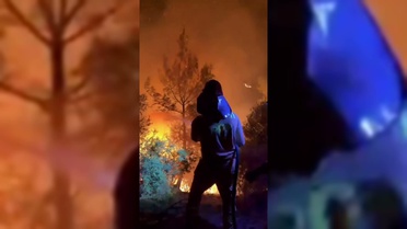 Antalya ve Mersin'deki yangınların enerjisi düşürüldü, Kozan'da söndürme sürüyor