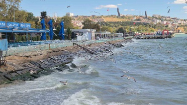 Tekirdağ Süleymanpaşa'da şiddetli poyraz balıkçıları 2 gündür limanda tutuyor
