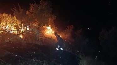 Siirt Baykan'da orman yangını ekiplerin müdahalesiyle söndürüldü