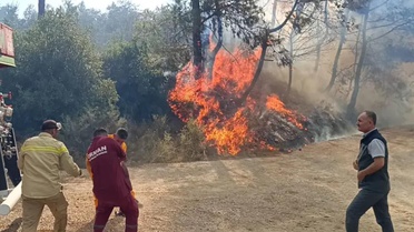 DMM'den orman yangınlarıyla ilgili iddialara yalanlama: Tamamen asılsız