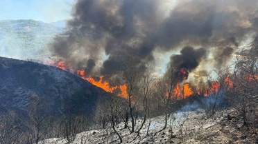 Antalya Serik'teki yangında 12 yaşındaki Fevzi, oğlağını kurtardı