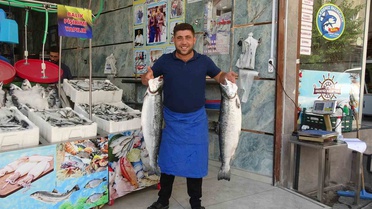 Kilis'te av yasağının sona ermesiyle balık tezgahlarında çeşitlilik arttı