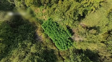 Sakarya Karasu'da uyuşturucu ve silah operasyonunda 2 şüpheli tutuklandı