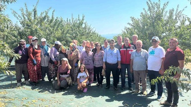 Şarköy'de badem hasadı başladı, 17 bin 500 ağaçtan 17,5 ton iç badem beklentisi var